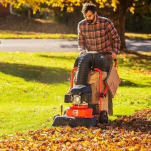 Alternative view of DR Power Leaf Vacuum