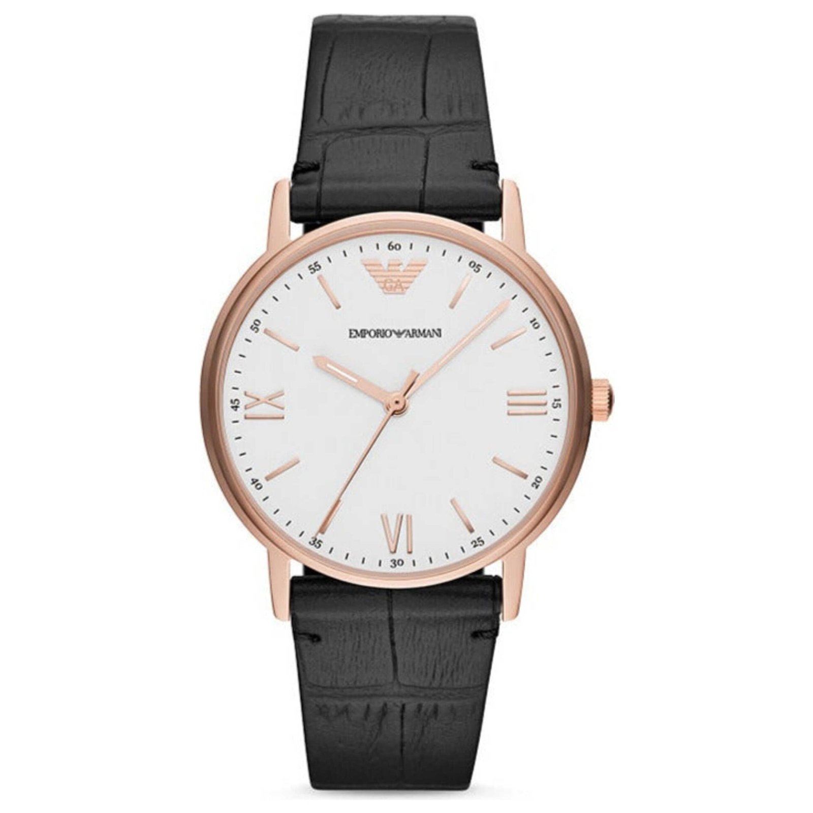 Emporio Armani Watch AR80015